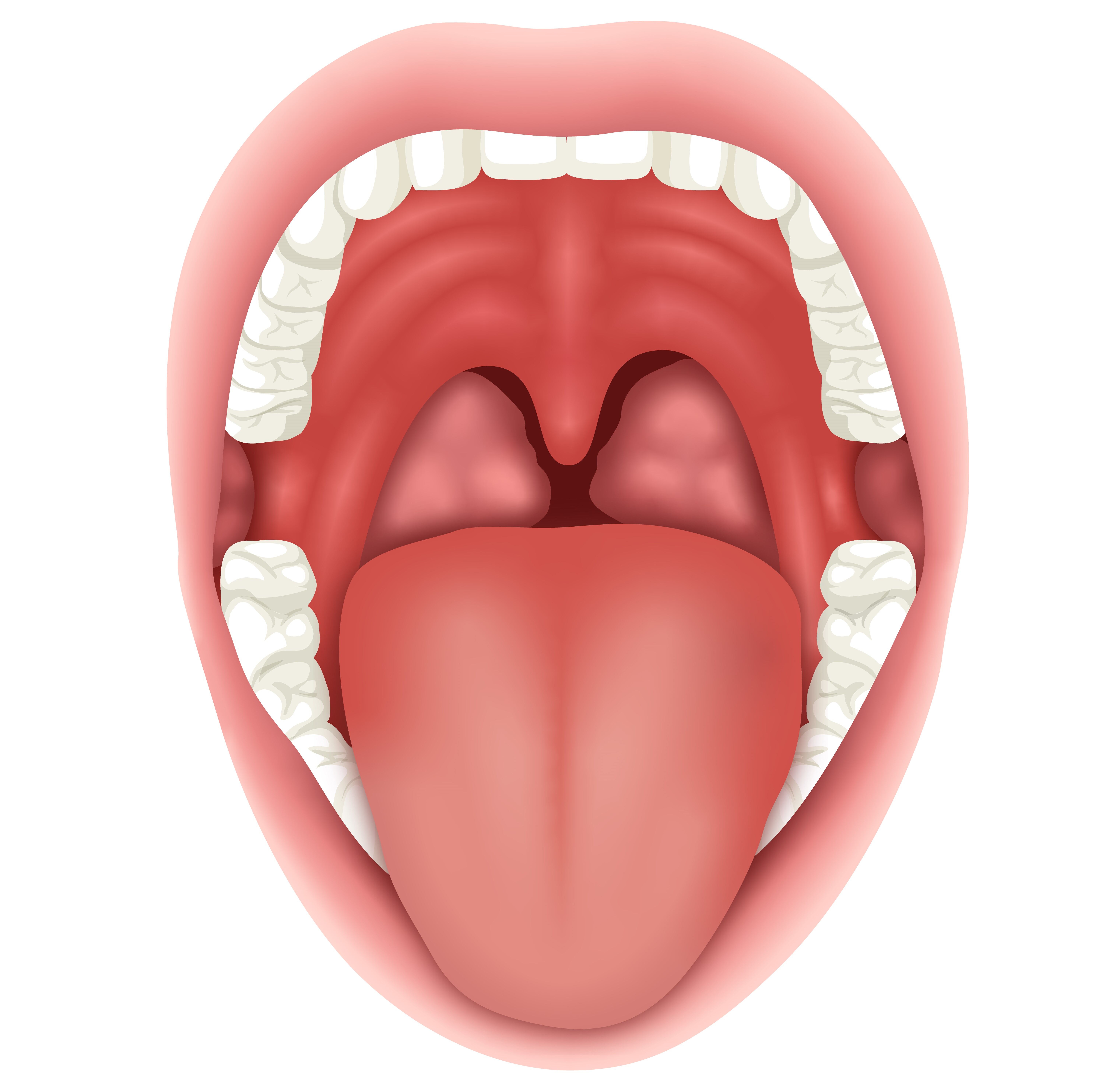 29380933_mouth (1).jpg